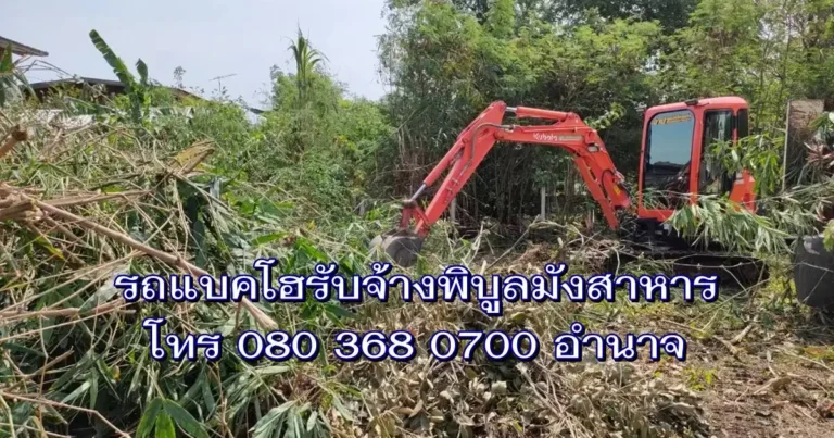 รถแบคโฮให้เช่าพิบูลมังสาหาร